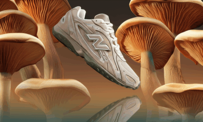 204L Mushroom Arid Stone release date