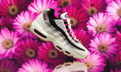 Nike SB x Air Max 95 'Cactus Flower' release date